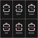 Long Lasting Pack of 6 Perfume Set